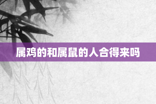 属鸡的和属鼠的人合得来吗