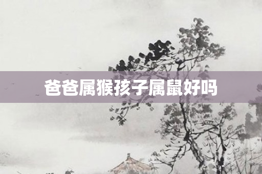 爸爸属猴孩子属鼠好吗