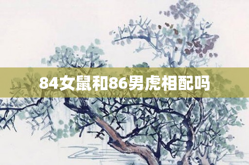 84女鼠和86男虎相配吗
