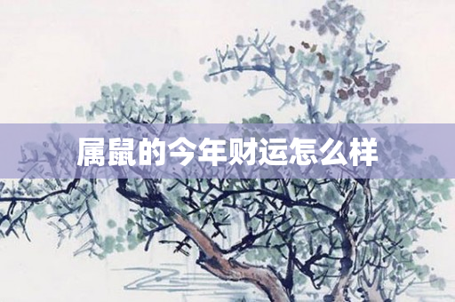 属鼠的今年财运怎么样