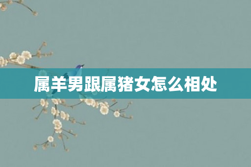 属羊男跟属猪女怎么相处