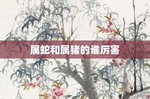 属蛇和属猪的谁厉害
