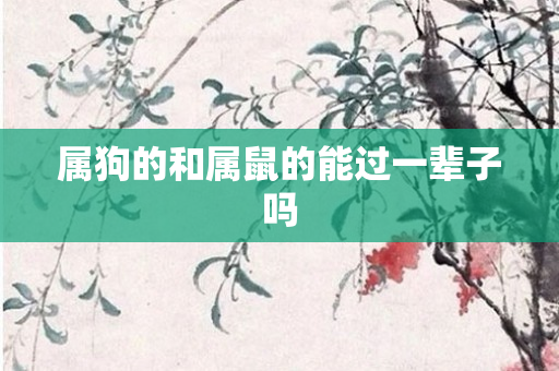 属狗的和属鼠的能过一辈子吗