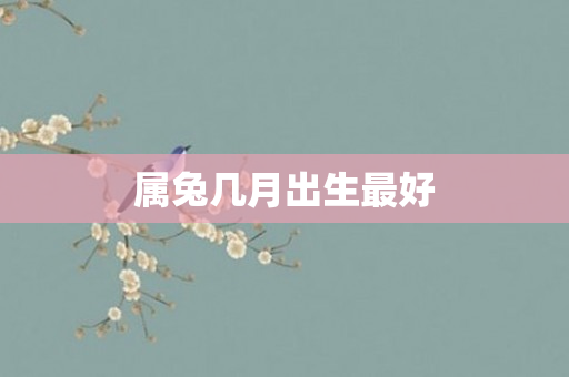 属兔几月出生更好