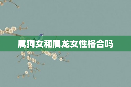 属狗女和属龙女性格合吗