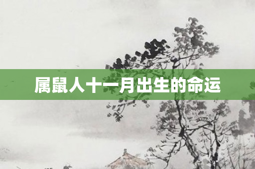 属鼠人十一月出生的命运