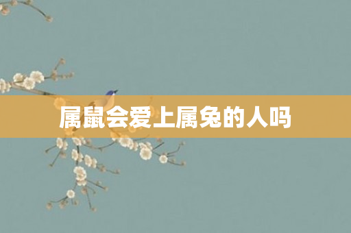属鼠会爱上属兔的人吗