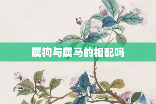 属狗与属马的相配吗