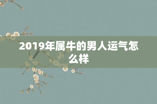 2019年属牛的男人运气怎么样