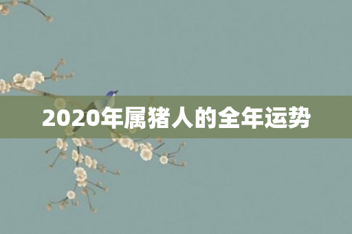 2020年属猪人的全年运势