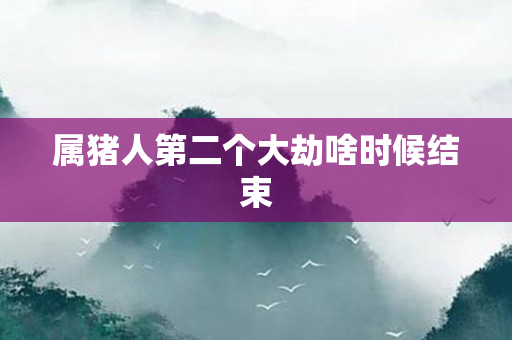 属猪人第二个大劫啥时候结束