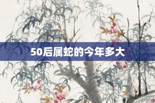 50后属蛇的今年多大