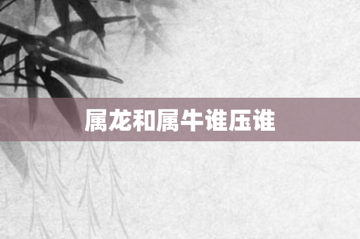 属龙和属牛谁压谁