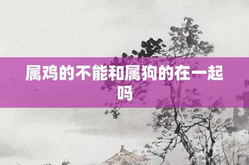 属鸡的不能和属狗的在一起吗