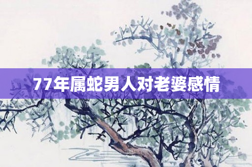 77年属蛇男人对老婆感情