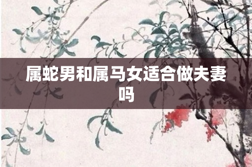 属蛇男和属马女适合做夫妻吗