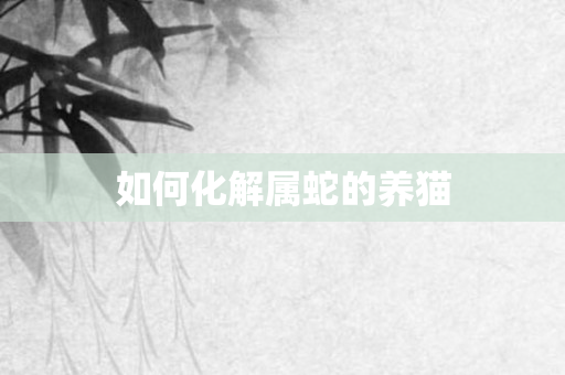 如何化解属蛇的养猫