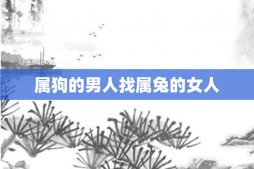 属狗的男人找属兔的女人