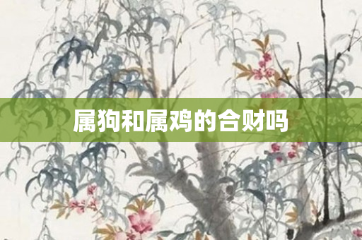 属狗和属鸡的合财吗