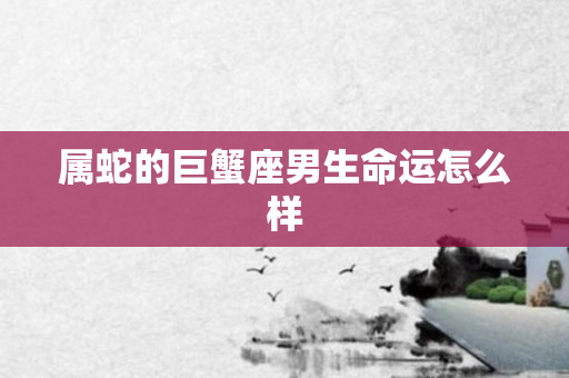 属蛇的巨蟹座男生命运怎么样