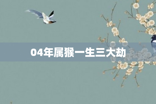 04年属猴一生三大劫