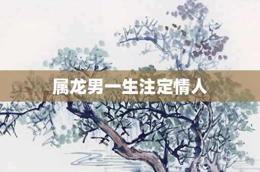 属龙男一生注定情人