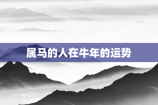 属马的人在牛年的运势