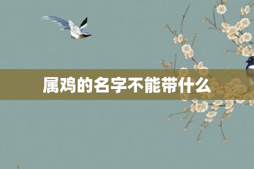 属鸡的名字不能带什么