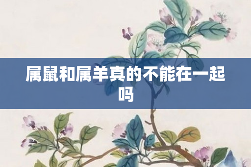 属鼠和属羊真的不能在一起吗