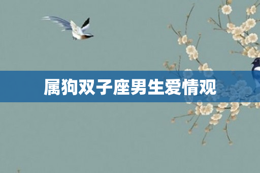 属狗双子座男生爱情观