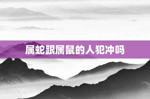 属蛇跟属鼠的人犯冲吗