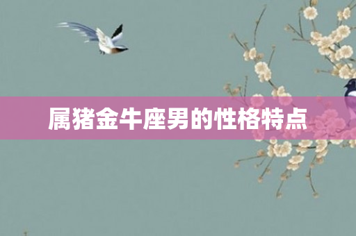 属猪金牛座男的性格特点