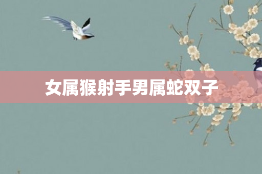 女属猴射手男属蛇双子