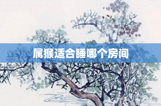 属猴适合睡哪个房间