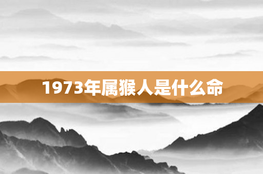 1973年属猴人是什么命