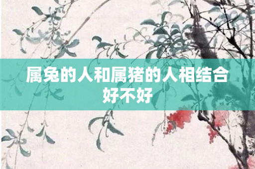 属兔的人和属猪的人相结合好不好