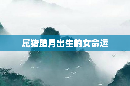 属猪腊月出生的女命运