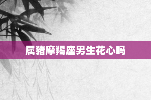 属猪摩羯座男生花心吗