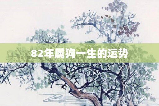 82年属狗一生的运势