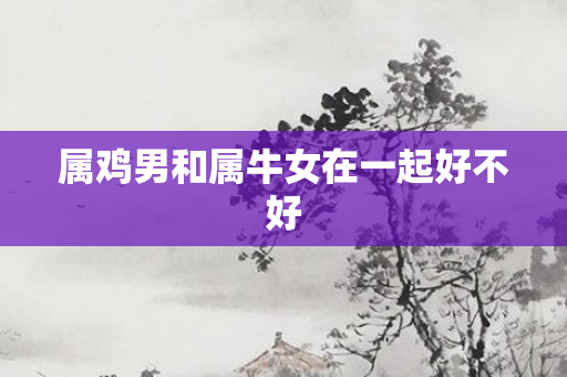 属鸡男和属牛女在一起好不好