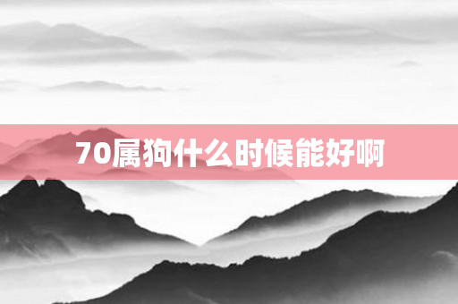 70属狗什么时候能好啊