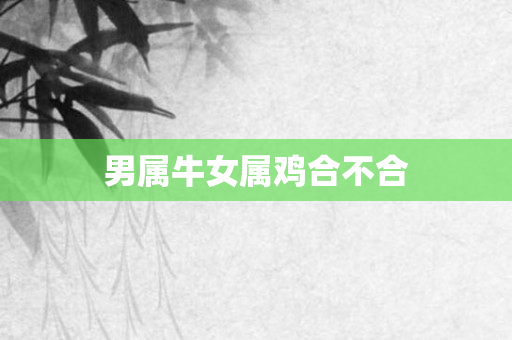 男属牛女属鸡合不合