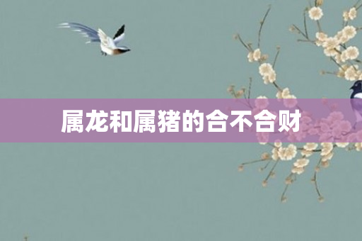 属龙和属猪的合不合财