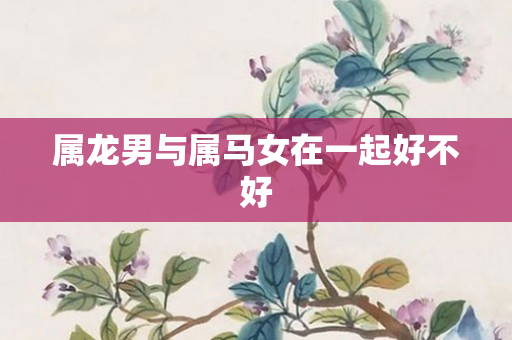 属龙男与属马女在一起好不好