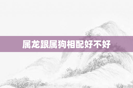 属龙跟属狗相配好不好