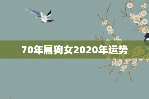 70年属狗女2020年运势