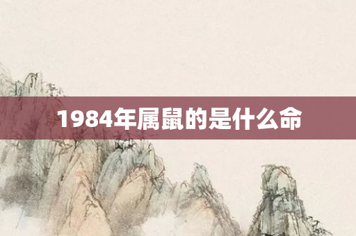 1984年属鼠的是什么命
