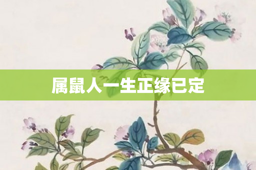 属鼠人一生正缘已定