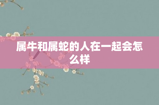 属牛和属蛇的人在一起会怎么样