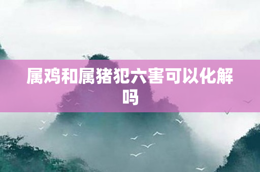 属鸡和属猪犯六害可以化解吗